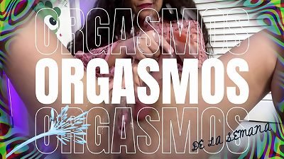 MY climaxes OF THE WEEK / REAL fledgling